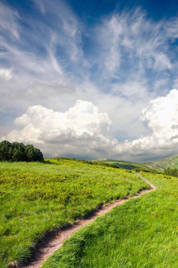 Small Business Solutions